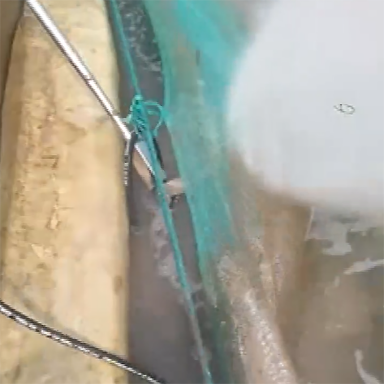 高壓清洗機,進(jìn)口高壓清洗機,高壓清洗機價格,超高壓清洗機
